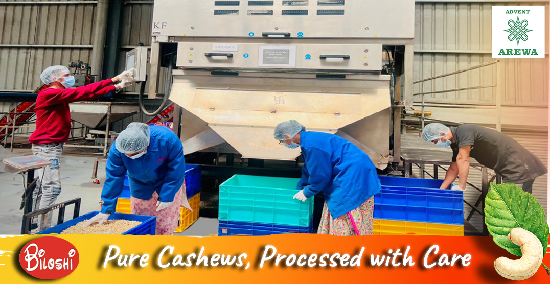 Pure Cashews, Processed with Care_